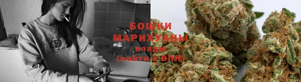 метадон Рославль