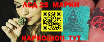 шишки Гагарин