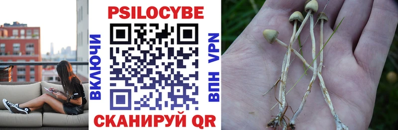 Галлюциногенные грибы ЛСД  Елец 