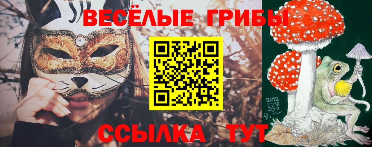 Галлюциногенные грибы прущие грибы Елец