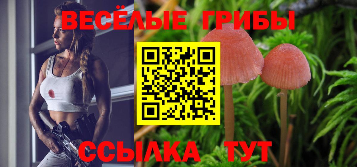 Псилоцибиновые грибы Psilocybine cubensis  Елец 