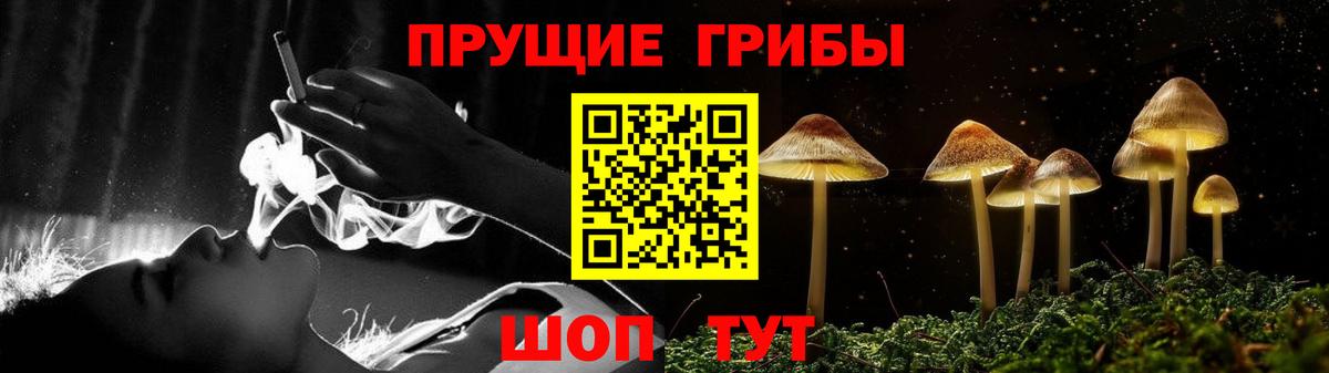 Елец  Псилоцибиновые грибы мицелий  Вход с VPN 