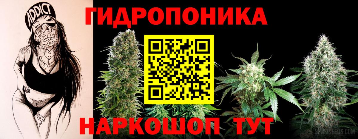 Канабис план Елец